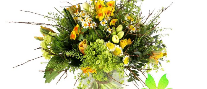 blumen7